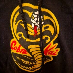 Cobra kai